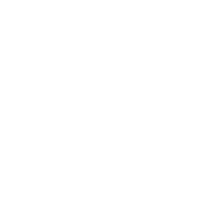 custom-pixels-logo-white